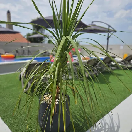 Kuca Za Odmor Donata Zadar